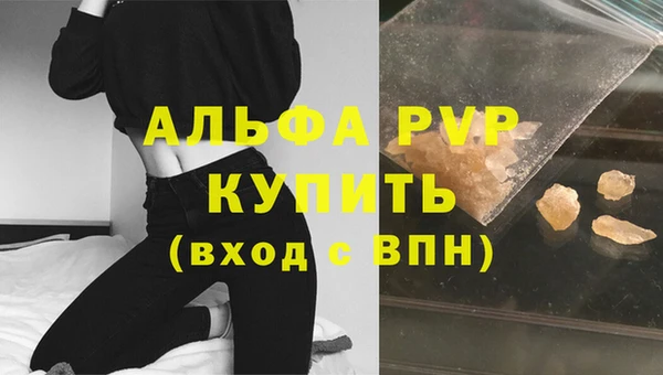 сатива Абинск