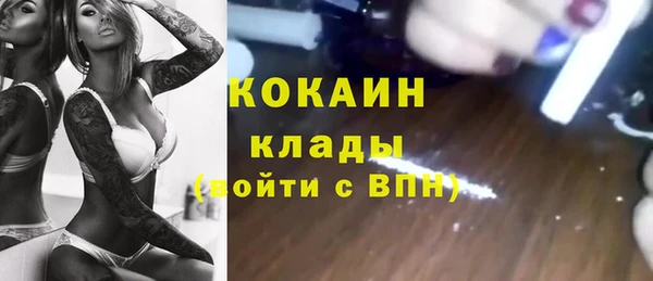 сатива Абинск