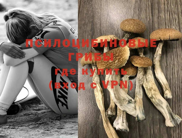 сатива Абинск